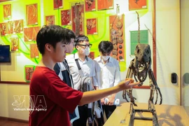 学生们参观越南自然博物馆。图自越通社