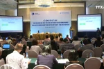 国企和外企的信息公开透明度较低