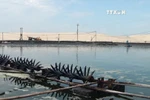 2016年越南对欧盟虾类产品出口额增长7.5% 