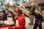 大同乡祠亭锣鼓喧天（图片来源：越通社）