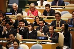 越南与联合国安理会：越南继续为世界和平、发展与繁荣作出更大的贡献