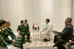 越南国防部长吴春历会见泰国副总理和印尼防长