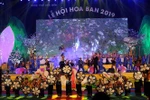 2019年奠边省羊蹄甲花节精彩开幕