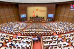 十五届国会六次会议：对政府成员进行质询和回答质询