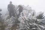 越南谅山和高平省经历低温雨雪冰冻天气（组图）