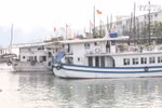 公交船 ——下龙湾的新颖旅游服务