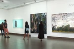 “不同与相同”的越韩当代美术展 增加对两国绘画艺术的了解