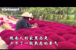 烧香：为人间与心灵世界搭建一座无形的桥梁