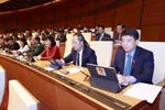 越南第十五届国会第二次特别会议：通过罢免政府两名副总理的决议