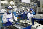 广南省吸引外资超过60亿美元