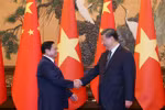许利平教授：加强政治互信 提升越南国际形象
