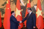 许利平教授：加强政治互信 提升越南国际形象