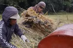 菲律宾与世界银行签署贷款协议以振兴农渔业