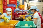 加强越南隆安省与中国云南省的经贸往来