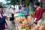 会安海洋环境艺术节正式开幕