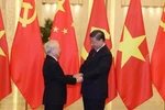 推动越中全面战略合作伙伴关系不断迈上新台阶