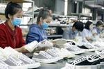 越南鞋类产品出口在全球市场所占份额首次超过10%