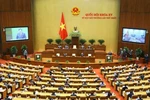 越南第十五届国会特别会议：讨论两项重要内容