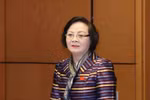 越南内政部部长范氏清茶。图自越通社