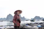 第三号台风给广宁省渔民造成重大经济损失。图自越通社