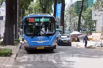 胡志明市目前拥有 138 条公交路线2209 辆公交车。图自越通社