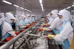 越南力争水产品出口额可达85亿美元