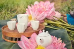组图：五月初夏莲花盛开 边赏花边品茶享受宁静生活