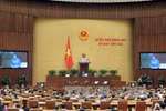 越南国会11月17日在会堂举行了全体会议。（图片来源：越通社）