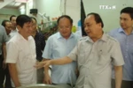 阮春福总理：胡志明市应制定绿色食品供应链发展规划