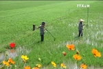 2016年前9月越南国内生产总值增长率约达5.93%