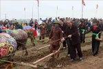 越南政府常务副总理张和平出席碗山籍田节（组图）