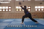 越南平定省武术生继承与弘扬西山阮惠朝代的尚武精神