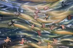 1001只陶瓷海龟展：保护海龟 你我同行