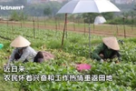 绿区复工复产 确保首都居民粮食供应充足