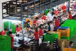 越南鞋类产品出口在全球市场所占份额首次超过10%