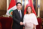 越南国家主席梁强与秘鲁总统迪娜·埃尔西利娅·博鲁阿尔特·塞加拉。图自越通社