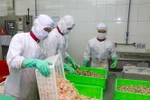 2020年越南水产品对欧盟出口额将下降20%