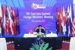 ASEAN 2020：东盟轮值主席国越南为AMM 53付出努力