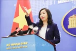 新型冠状病毒感染肺炎疫情：越南外交部积极开展在华越南公民领事保护工作