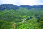 北江省旅游业发展前景广阔 