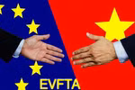 越南国会将在第九次会议首日批准EVFTA协定