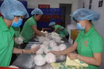 槟椥省着力实现市场多样化 助推农产品销售