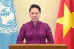 越南国会主席阮氏金银在纪念第四次世界妇女大会25周年高级别会议上通过视频发表讲话