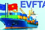 坚韧不拔 参加EVFTA