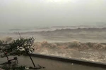 台风“摩羯”登陆海防市 台风强度达到巅峰