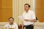 政府监察总署副总监察长阮德幸在会议上发表意见