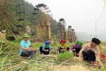 弘扬竞赛精神 闪耀爱国情怀