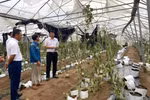 越南各家银行为超过 8.34万名客户提供贷款支持。图自越通社