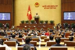 越南国会主席：反对救助计划分配和使用中的消极型小团体主义