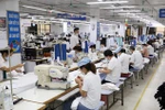 隆安省40%以上企业复工复产